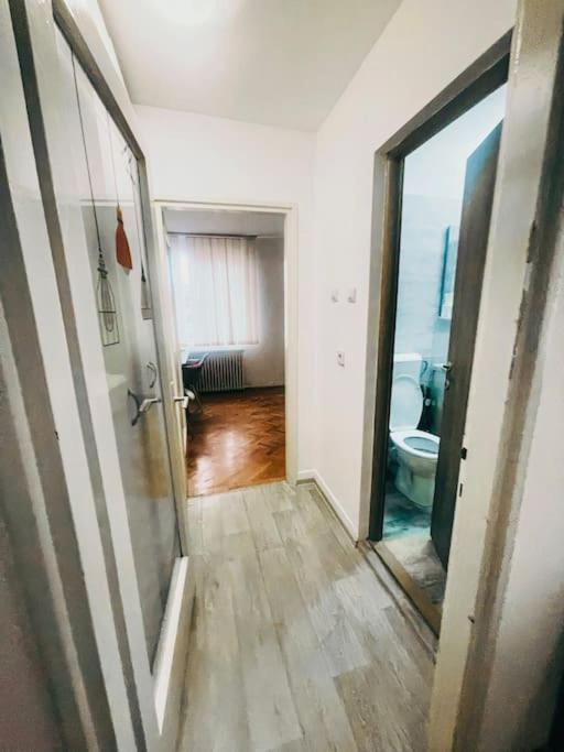 Ultracentral Big Flat Near The Opera Square P17 Timisoara Exterior photo