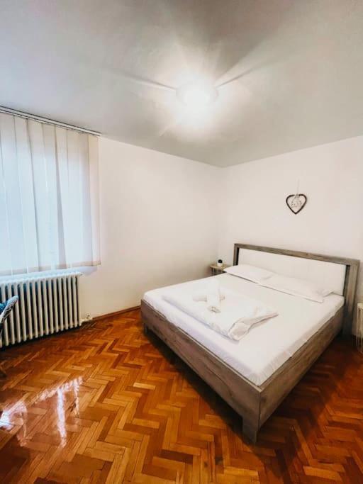 Ultracentral Big Flat Near The Opera Square P17 Timisoara Exterior photo
