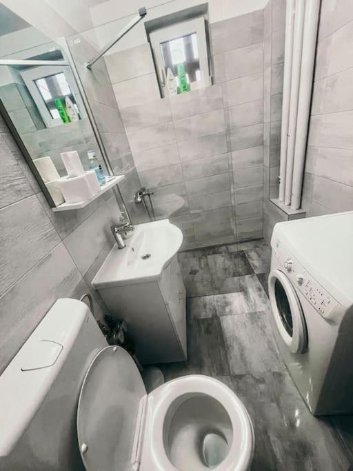 Ultracentral Big Flat Near The Opera Square P17 Timisoara Exterior photo