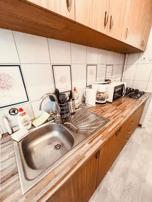 Ultracentral Big Flat Near The Opera Square P17 Timisoara Exterior photo