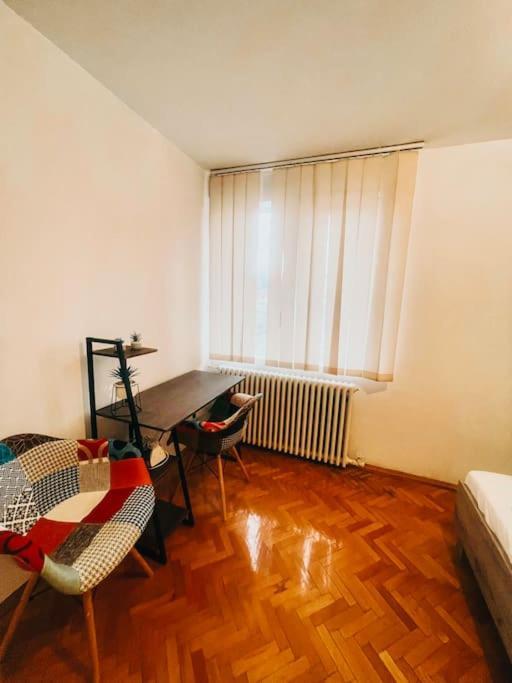 Ultracentral Big Flat Near The Opera Square P17 Timisoara Exterior photo