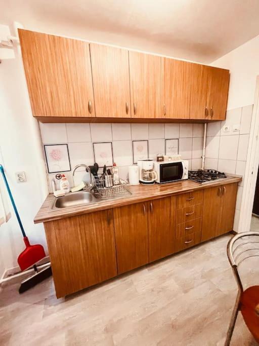 Ultracentral Big Flat Near The Opera Square P17 Timisoara Exterior photo